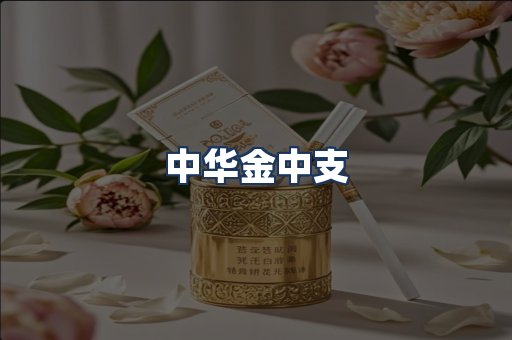 中华金中支